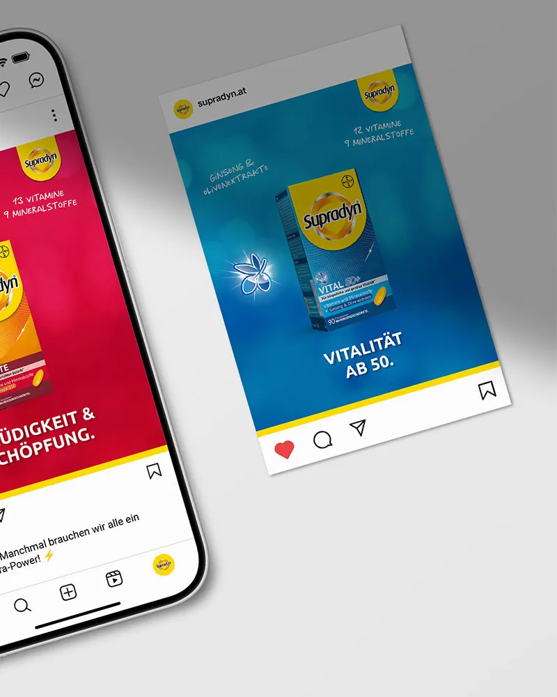 365-Tage-Bespielung mit modularen Kampagnen – jede Produktlinie mit eigenem visuellem Zugang, innerhalb eines klaren Corporate Design-Rahmens.